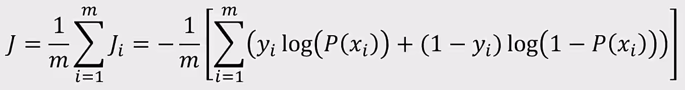 image-20250221154950824