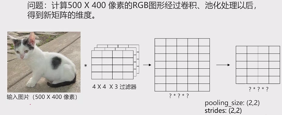 image-20250301194859458