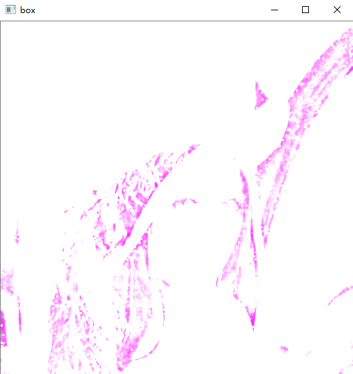 image-20250319144733135