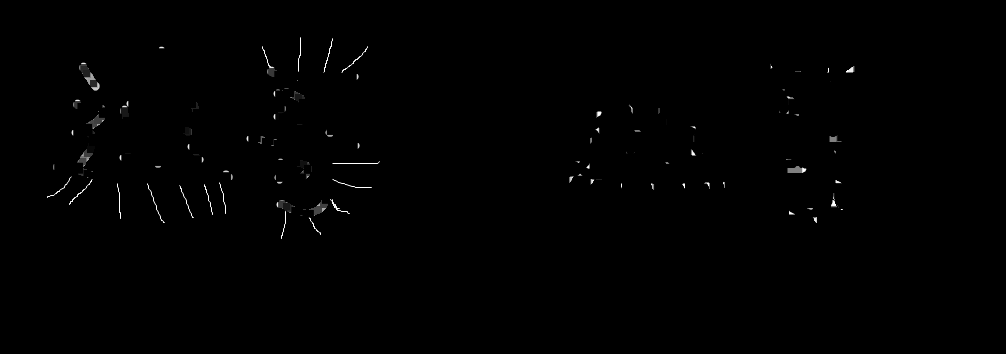 image-20250319175921036