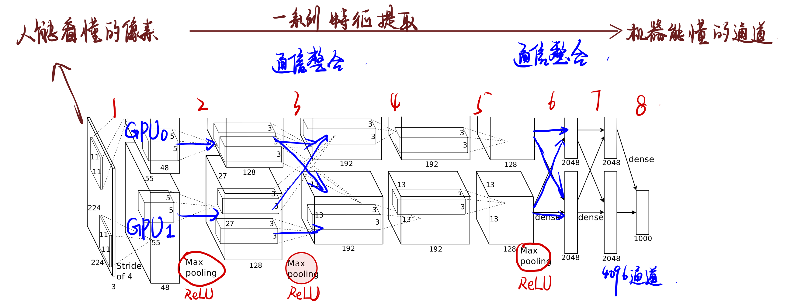 AlexNet架构