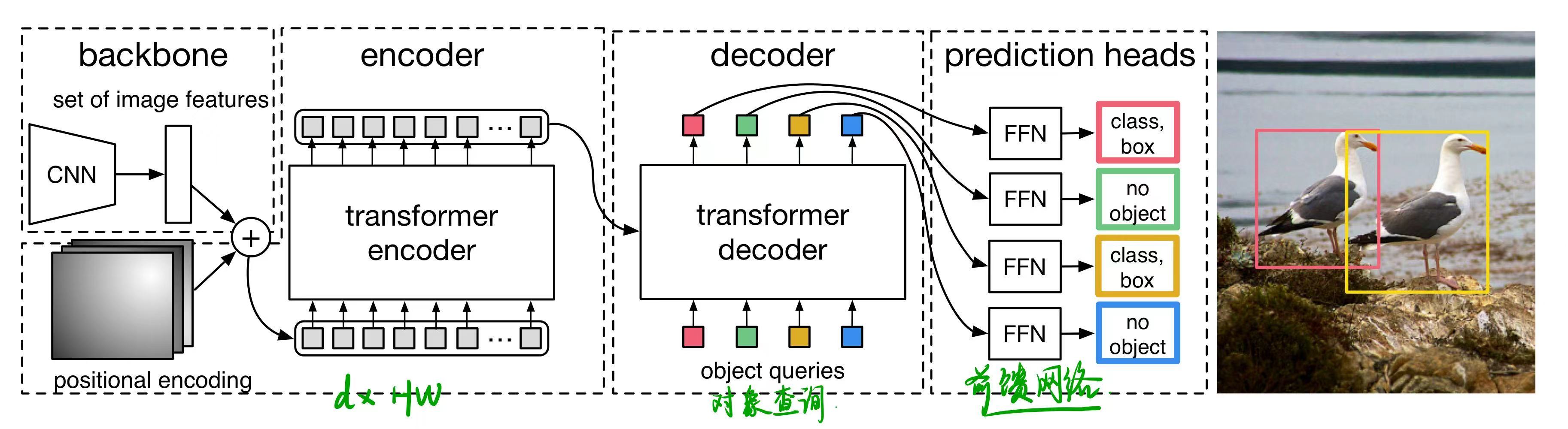 DETR 使用传统的 CNN 主干来学习输入图像的 2D 表示