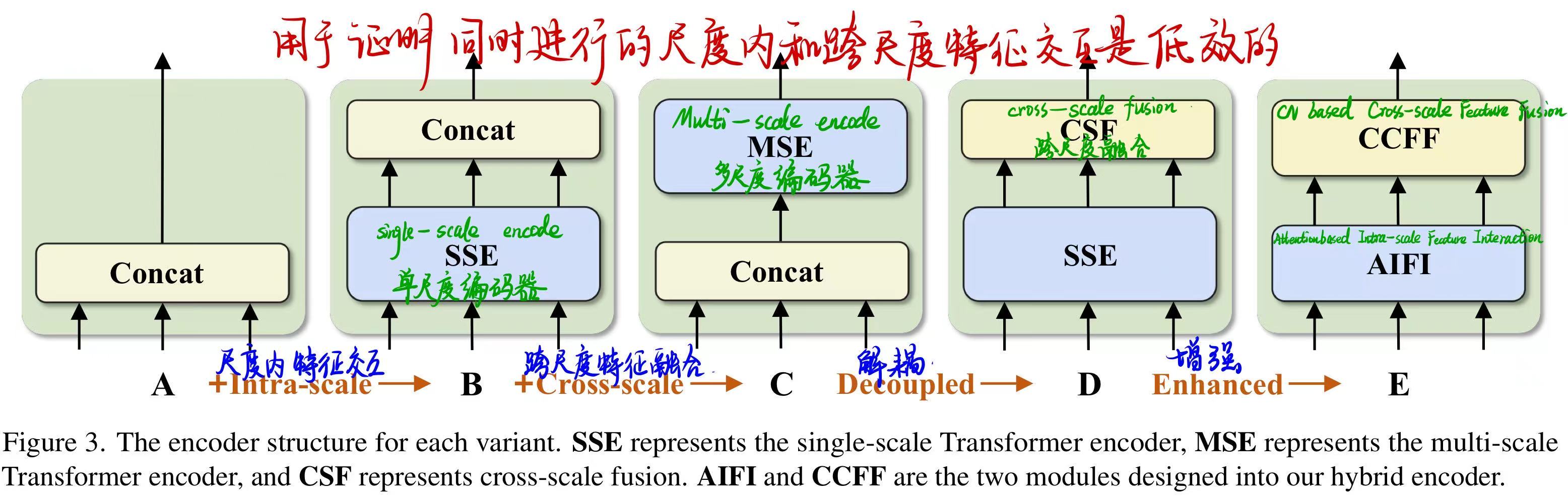  每个变体的编码器结构